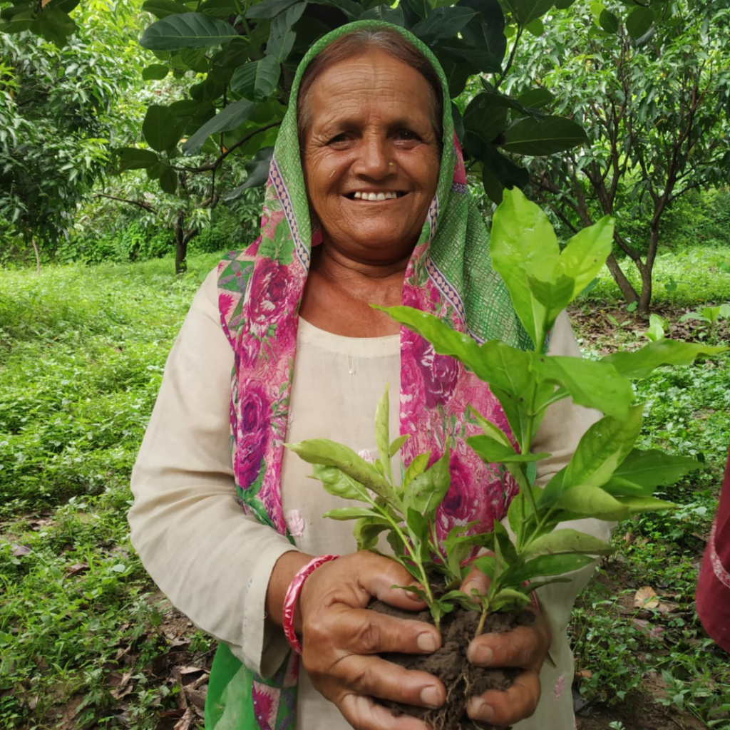 Project Aatmanirbhar Yamuna Valley 3