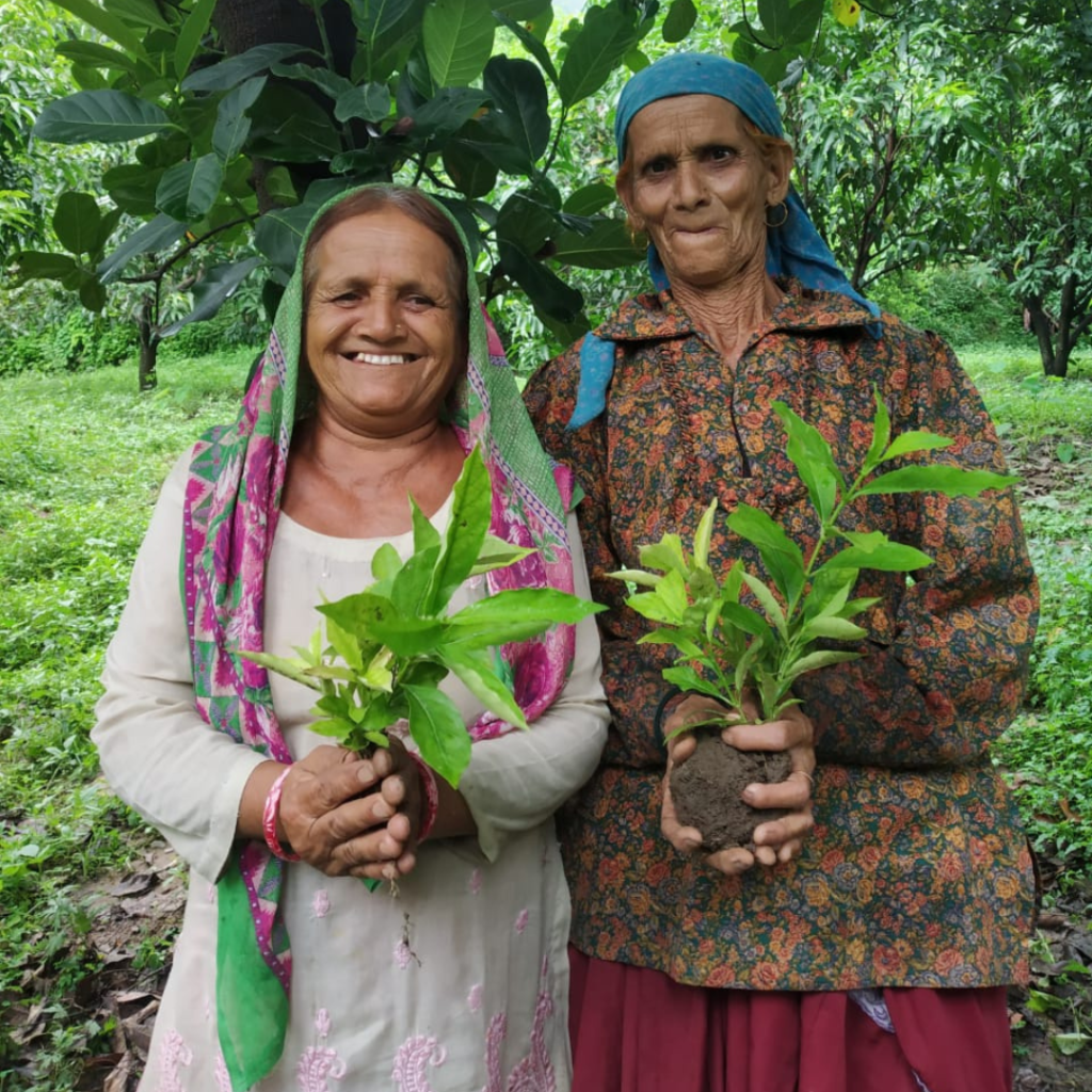 Project Aatmanirbhar Yamuna Valley 4